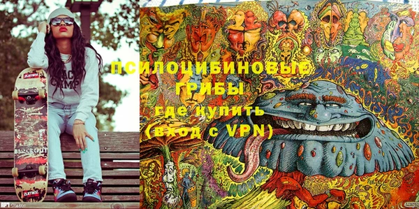бошки Вязьма