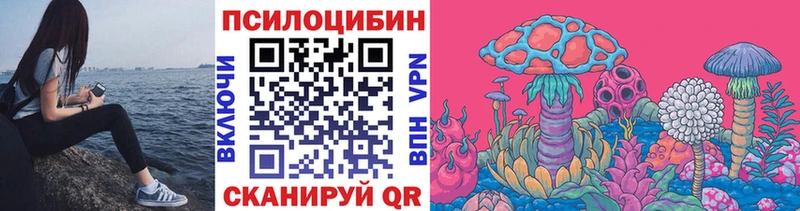 Галлюциногенные грибы Psilocybe  Купить  Краснознаменск 