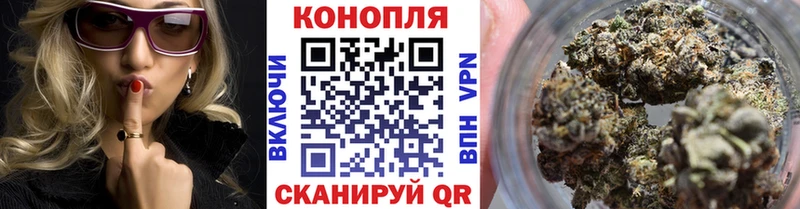 Купить закладки  Краснознаменск  Конопля VHQ 